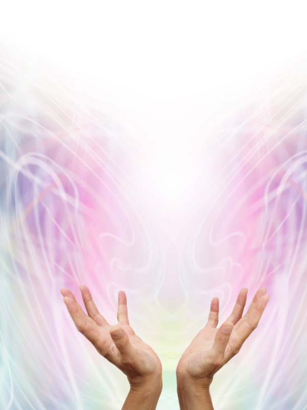 Bioenergija Draženko Drinić